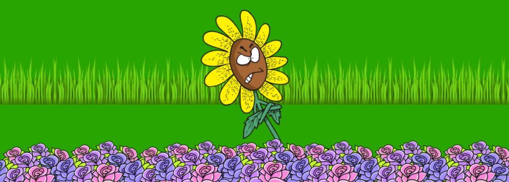 Are Daisies Weeds or Flowers