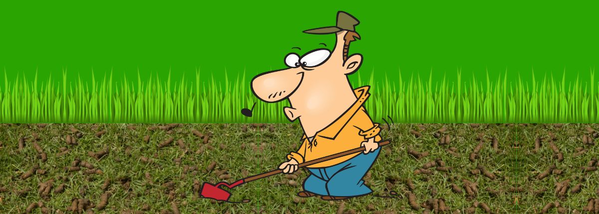 When to Aerate Your Lawn The Best Time