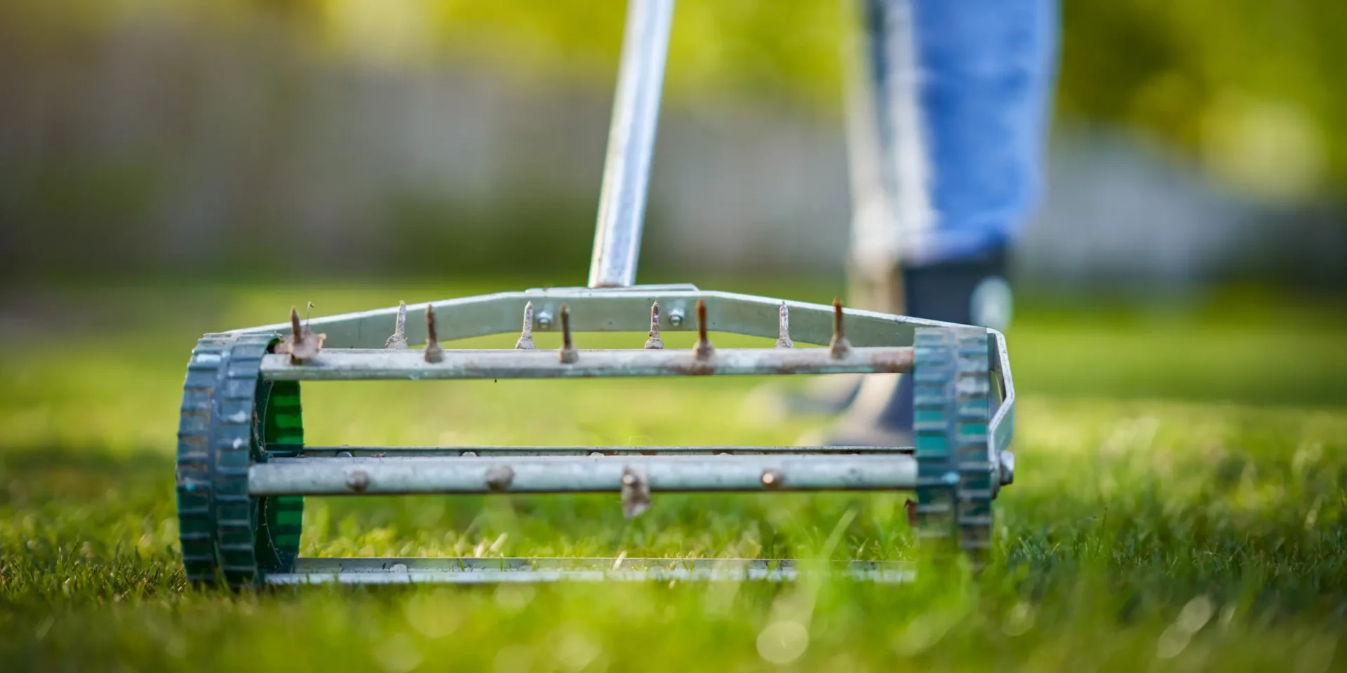 grass aerator on the green lawn