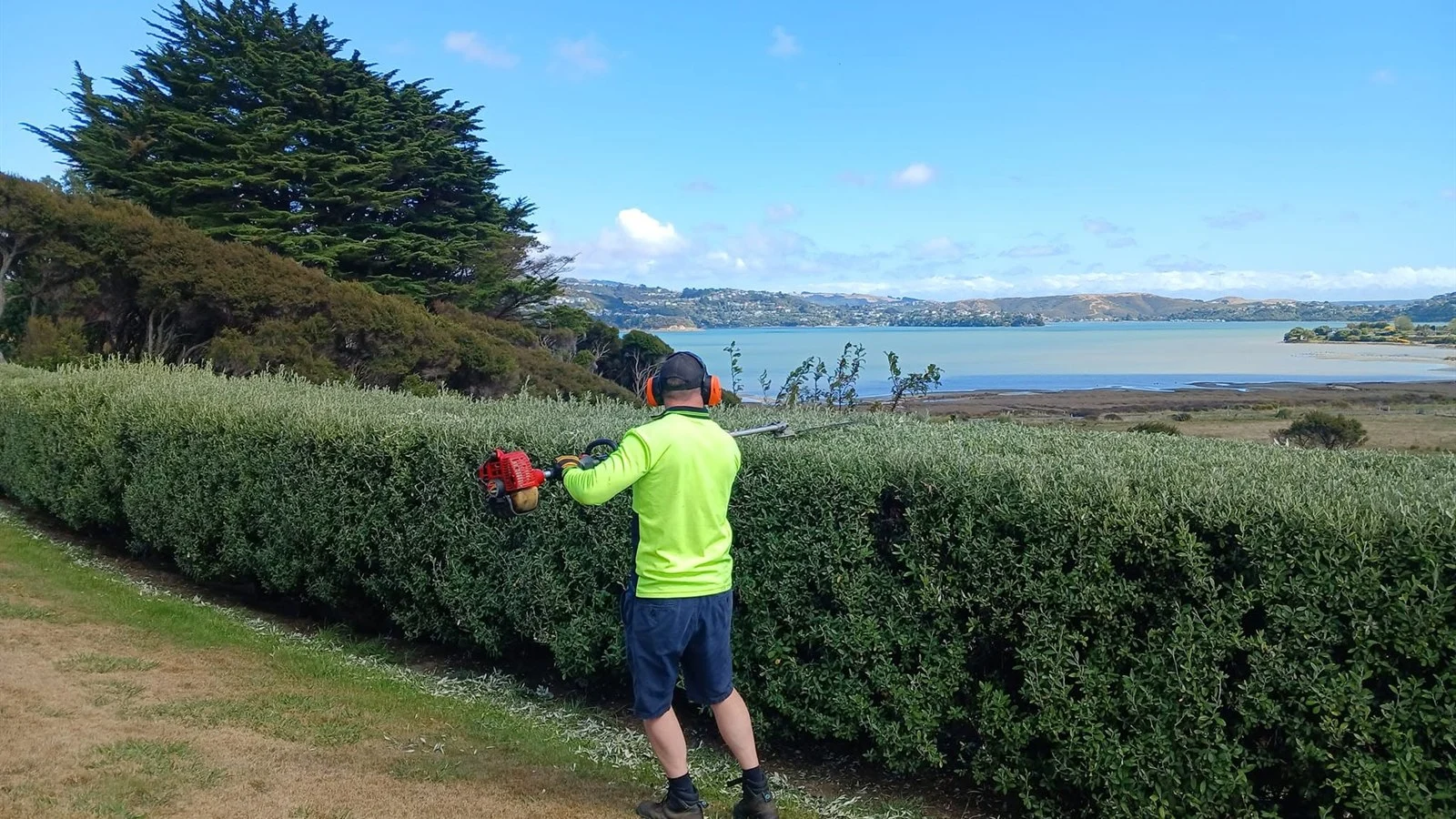 Worker in hi-vis trimming a long hedge above a harbour, the kind of job I refer to a trade I do not compete with